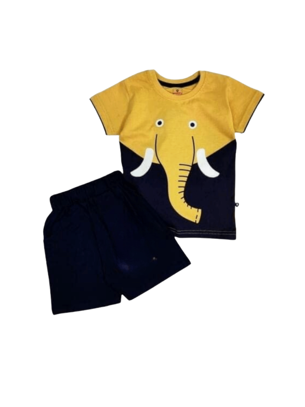Kids 2pcs T-shirt Set