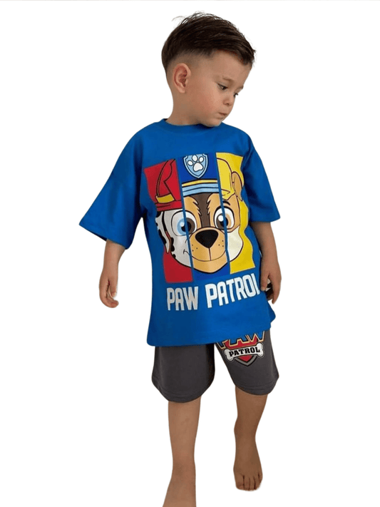 Kids 2pcs Paw Patrol Printed Set