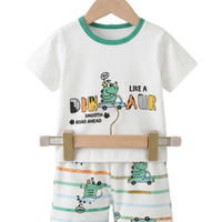 Dinosaur White Set
